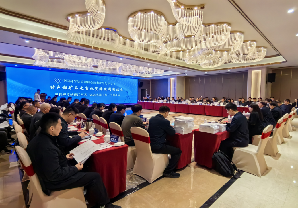 破解锂渣难题 中国科研实验室C类先导专项取得阶段性进展——“特色锂矿石无害化资源化利用技术”顺利获得里程碑暨江西省“2030先锋工程”中期考核